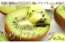 キウイフルーツ 約3kg（24～33玉入り）
