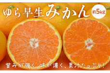 ゆら早生みかん 約5kg（L～2Sサイズ）