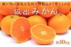 坂出みかん 約10kg（L～Sサイズ）