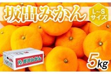 坂出みかん 5kg（L～Sサイズ）