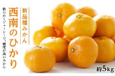 新品種みかん「西南のひかり」約5kg（約40～60個）