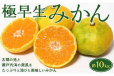 坂出市王越町の極早生みかん 約10kg（約5kg×2箱）