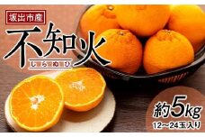 坂出市産　不知火（しらぬひ）約5kg
