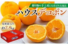 ハウスデコポン 約2.8kg（7～12玉入り） 化粧箱入り