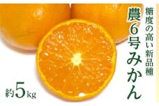 ※受付停止25.3.14※農6号みかん（のうろく）約5kg