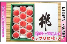 ＜滴る果汁とあふれる果肉が自慢＞香川産の桃 4kgセット【先行予約・2025年6月下旬より順次発送】