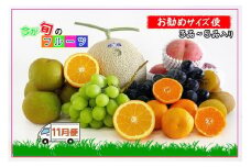 【11月発送便】 フルーツ セット Sサイズ 詰め合わせ ( 約3 ～ 5品 ) ｜産直あきんど 創業100年