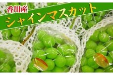 《2025年発送》大粒 シャインマスカット セット 秀品 約5kg ( 6～10房 )  2025年発送 ｜ 香川産 ぶどう マスカット