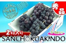 《2025年発送》ニューピオーネ 秀品 2kg ( 約3 ~ 5房 )  ｜ぶどう 香川産 人気品種