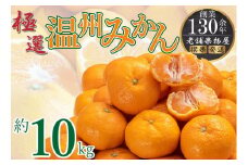 極撰！温州みかん　約10ｋｇ