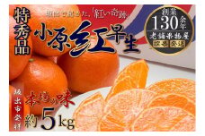 特秀品！小原紅早生みかん　約5kg【坂出発祥の真っ紅なお蜜柑】