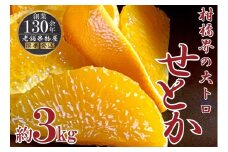 柑橘界の大トロ！せとか約3ｋｇ