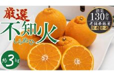 濃厚ぷりっぷりっ♪厳選「不知火(しらぬひ)」約3kg