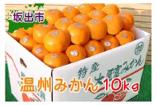 ≪先行受注≫温州みかん 香川産 約10kg ( S ～ Lサイズ ) ｜ みかん 味濃い
