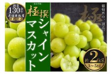 極撰！シャインマスカット　約2kg（3～5房）