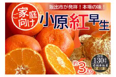 ご家庭向け！小原紅早生みかん　約3kg【坂出発祥の真っ紅なお蜜柑】