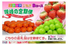 【定期便3回Bコース】 フルーツ セット 定期便 ( いちご 約250g × 4パック & シャインマスカット 1房 約600g以上 & みかん 約5kg × 3ヶ月 ) ｜産直あきんど 坂出産 創業100年