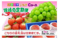 【定期便3回Cコース】 フルーツ セット 定期便 ( いちご 約250g × 4パック & 桃 約2kg & シャインマスカット 1房 約600g以上 × 3ヶ月 ) ｜産直あきんど 坂出産 創業100年