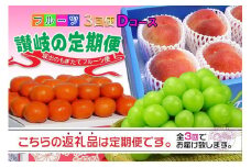 【定期便3回Dコース】 フルーツ セット 定期便 ( 桃 約2kg & シャインマスカット 1房 約600g以上 & みかん 5kg × 3ヶ月 ) ｜産直あきんど 坂出産 創業100年