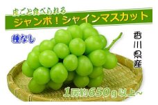 《2025年発送》特秀品シャインマスカット ( １房 約700g以上 ) ぶどう マスカット 香川県産