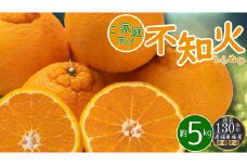 ご家庭向け！不知火(しらぬひ)　約5kg