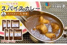 K ベンガル亭特製スパイスカレー！（スパイスソース・中辛）6袋