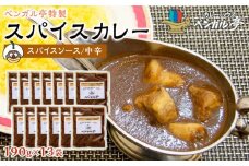 M ベンガル亭特製スパイスカレー！（スパイスソース・中辛）13袋