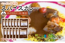 N ベンガル亭特製スパイスカレー！（スパイスソース・辛口）13袋