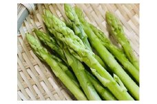 アスパラガス さぬきのめざめ 香川県産 約1kg ( 約35本 ～ 60本 ) ｜ さぬき ブランド野菜