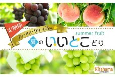 夏のいいとこどり定期便 【7月・8月・9月】全3回
