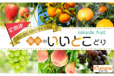 坂出のいいとこどり定期便 【7月・8月・9月・12月・1月・2月】 全6回