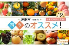【全12回】坂出市四季のオススメ！旬果実単品定期便♪