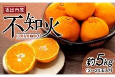坂出市産　不知火（しらぬひ）約5kg（12～24玉入り）
