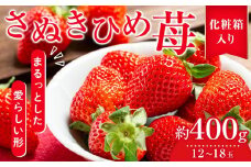 さぬきひめ苺　約400g化粧箱入り（12～18玉）