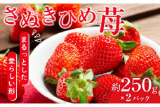 さぬきひめ苺　約250g×2パック