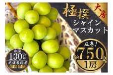 極撰！大房シャインマスカット　 1房(約750g)