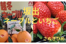 越冬完熟袋掛けネーブル 約5kg（約20個）と大粒いちごさぬきひめ 2パック