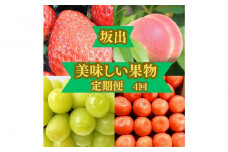 ＜定期便＞坂出の美味しい果物定期便　季節の果物を年間４回に分けてお届け！