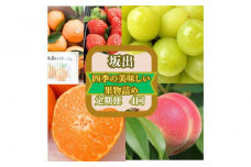 ＜定期便＞四季の美味しい果物詰め　年間４回に分けてお届け！