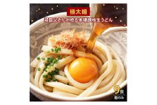 生うどん 麺のみ 9食（300g×3袋）極太麺｜うどん 生麺