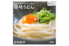 讃岐うどん6食つゆ付（普通麺）