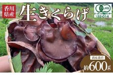香川県産　王越の有機生きくらげ（菌床栽培）約600ｇ