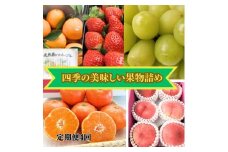 【定期便　4回コース】四季の美味しい果物詰め