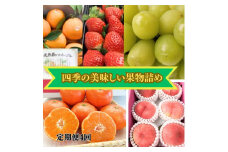 【定期便　4回コース】四季の美味しい果物詰め