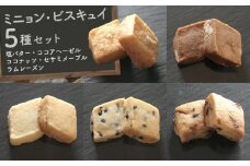 【Cafe悠花】ミニョン・ビスキュイ　塩バター・ココアヘーゼル・ココナッツ・セサミメープル・ラムレーズン　5種セット