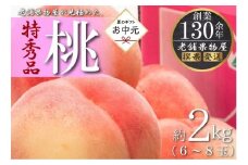 【お中元ギフト/熨斗対応】特秀品！坂出生まれの桃　約2kg （6～8玉）