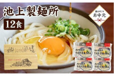 【お中元ギフト】讃岐生うどん12食入（1袋3食入×4袋）＊鎌田醤油だし醤油付＊  池上製麺所監修！｜うどん 生麺