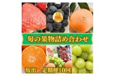 旬の果物詰め合わせ定期便10回