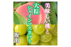 【定期便2回】美味しい桃(約2kg)と大粒シャインマスカット（約2kg）