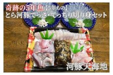 奇跡の５年魚【５年もの】とら河豚てっさ110g・てっちり切り身250gセット(ざく80g付）